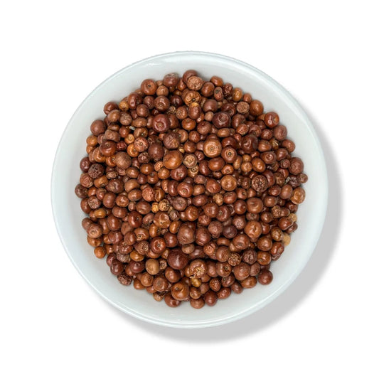 (Pinguica Fruto)Uva Ursi Fruit