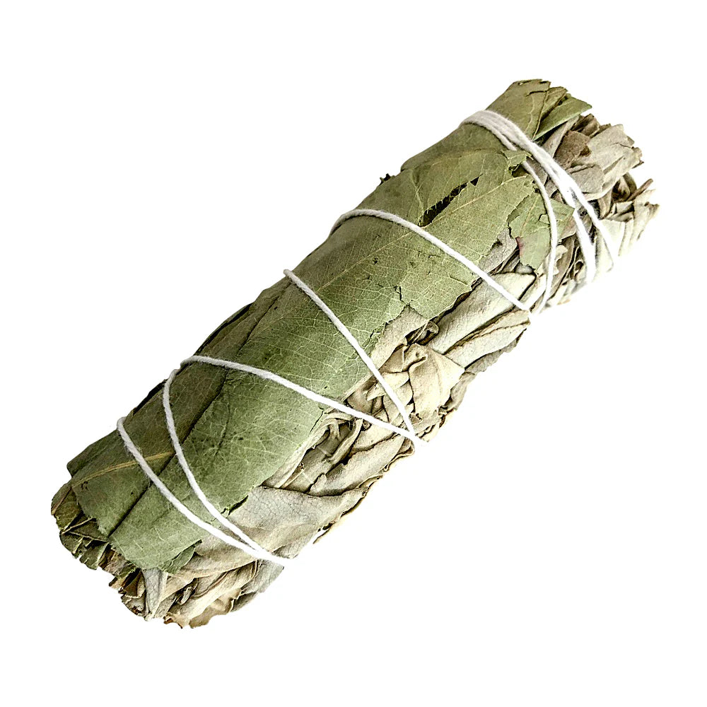 White Sage with Eucalyptus/Salvia Blanca con eucalipto 4inches