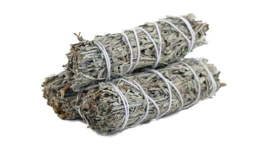 Blue Sage/Salvia azul seca